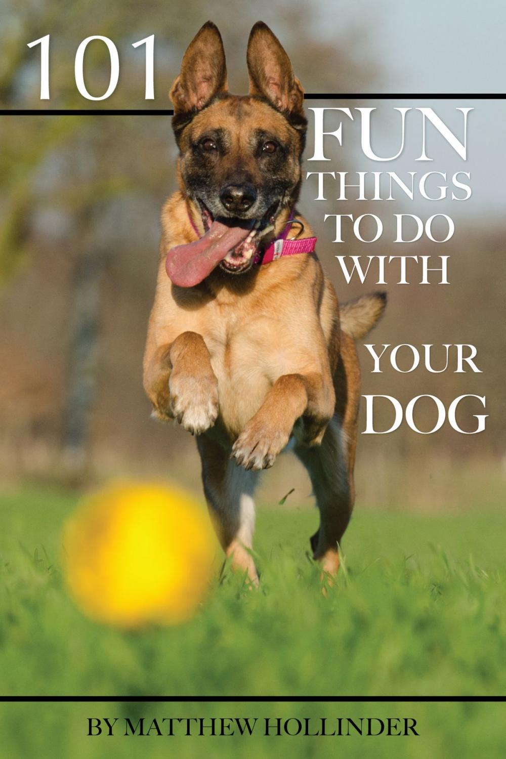 Big bigCover of 101 Fun Things to Do With Your Dog