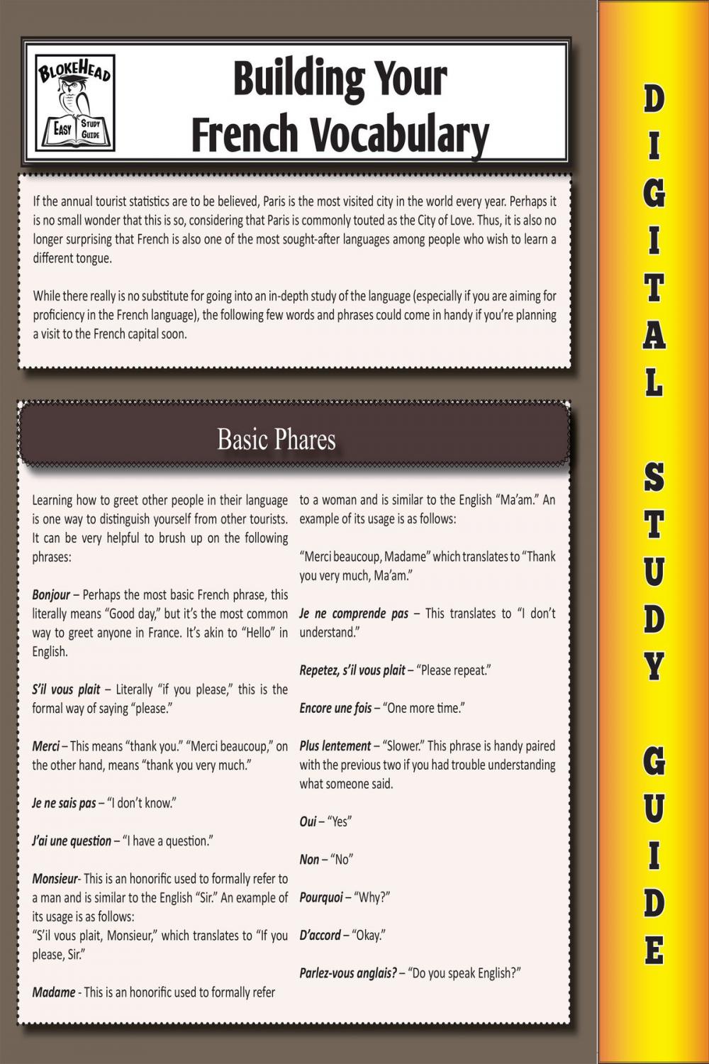 Big bigCover of French Vocabulary (Blokehead Easy Study Guide)