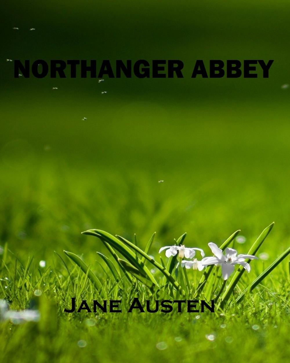 Big bigCover of Northanger Abbey