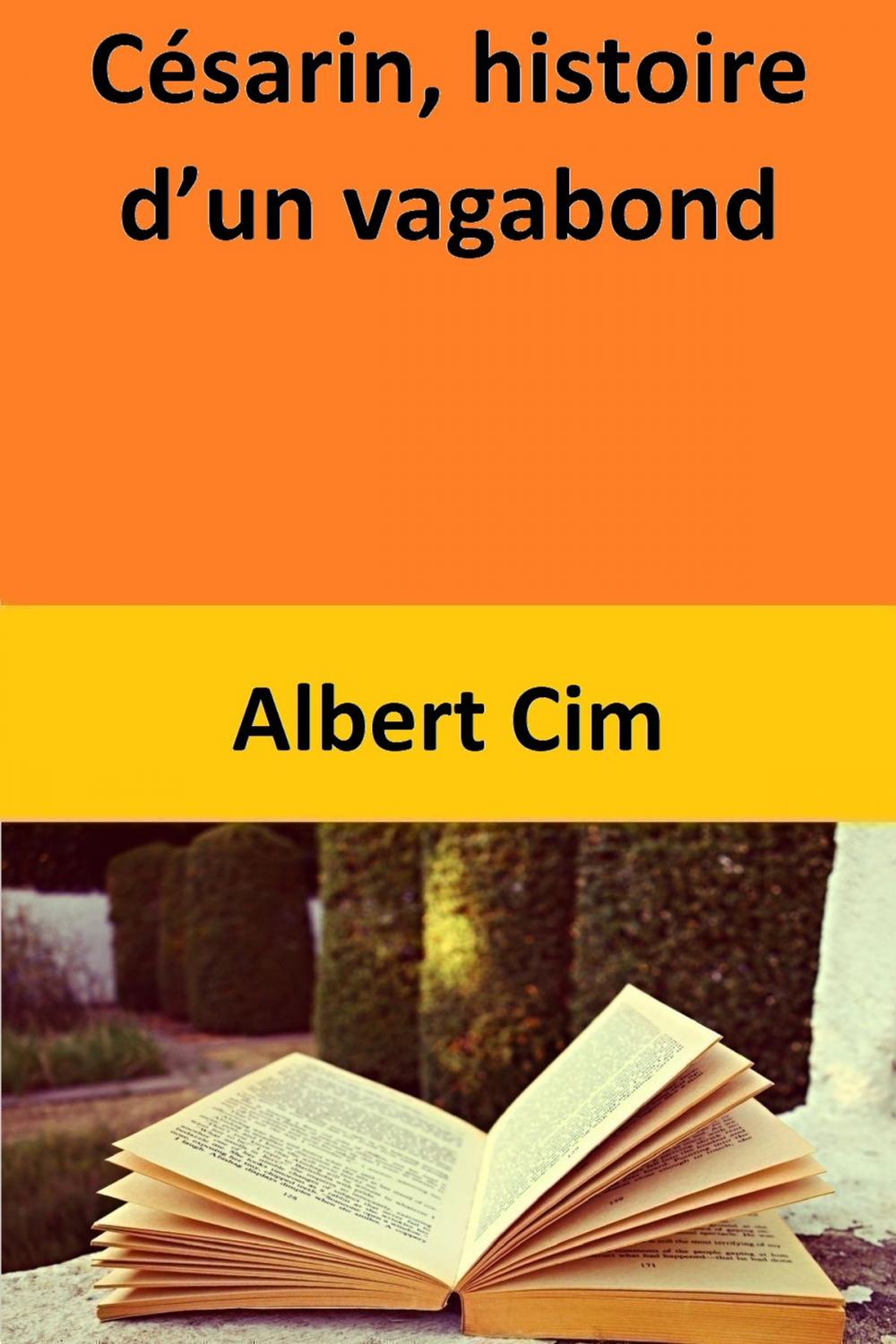 Big bigCover of Césarin, histoire d’un vagabond