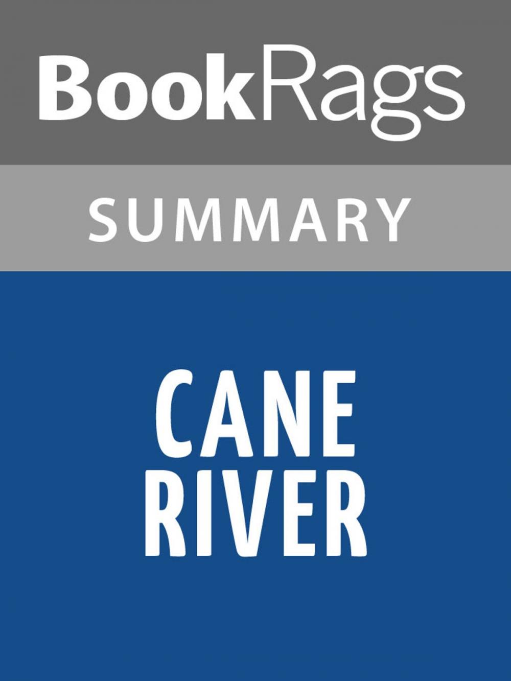 Big bigCover of Cane River by Lalita Tademy Summary & Study Guide