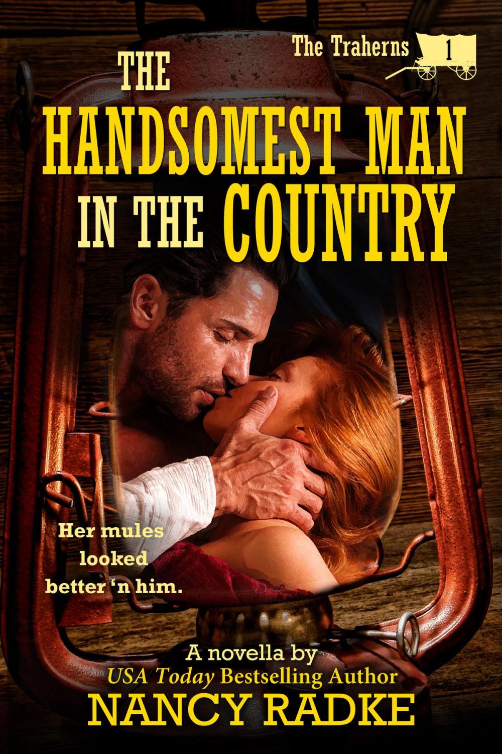Big bigCover of The Handsomest Man in the Country