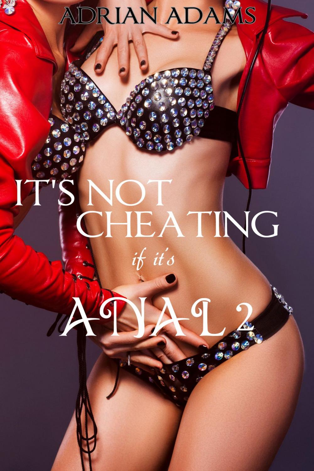 Big bigCover of It's Not Cheating If It's Anal 2