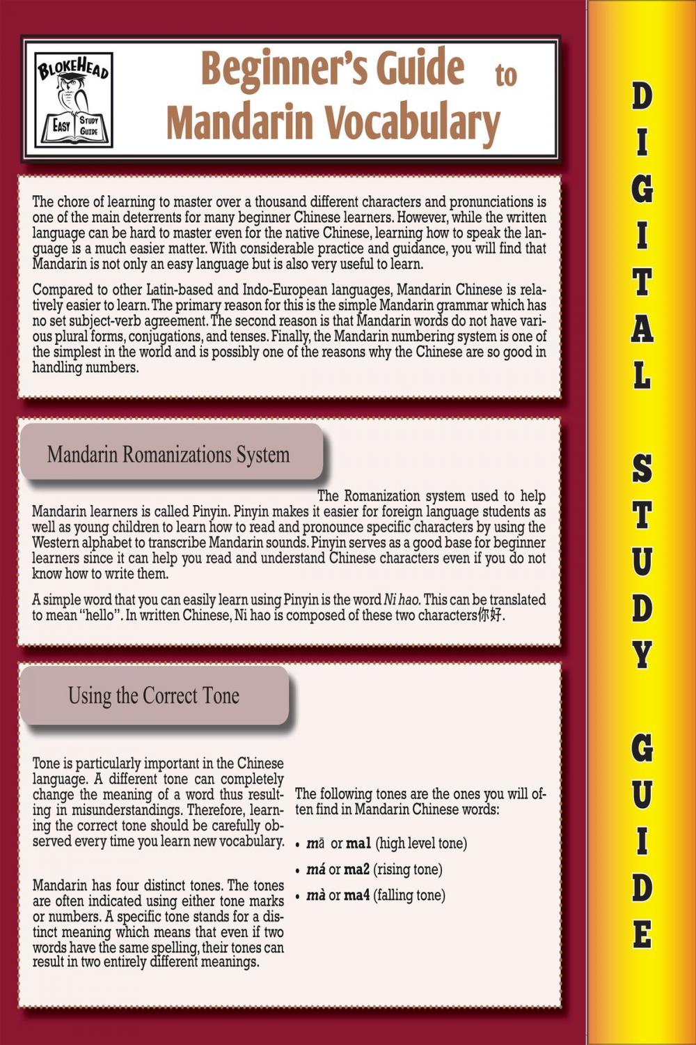 Big bigCover of Mandarin Vocabulary ( Blokehead Easy Study Guide)