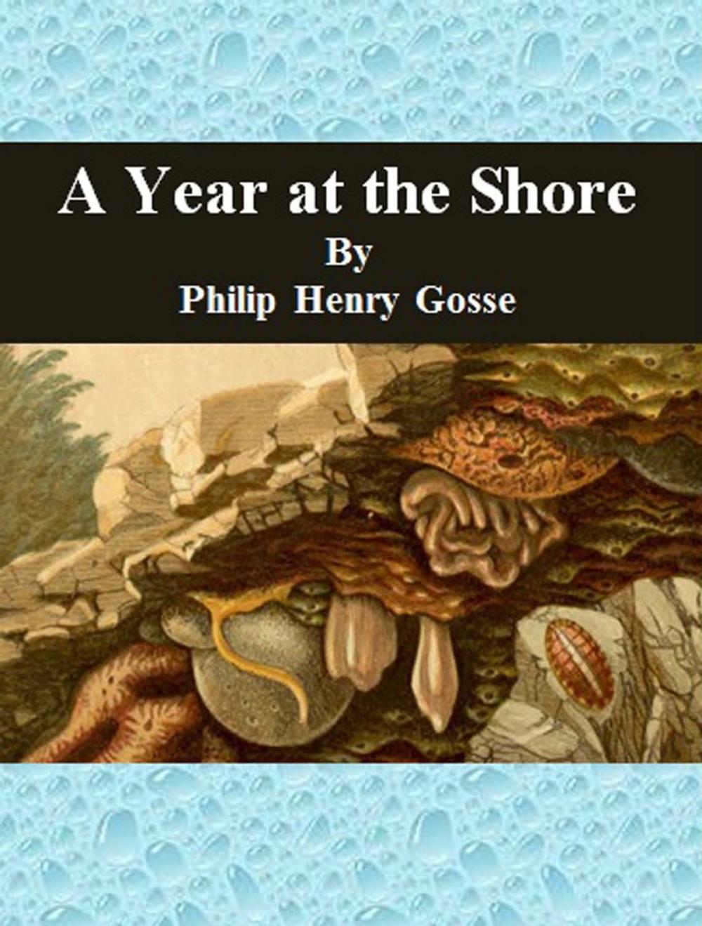 Big bigCover of A Year at the Shore