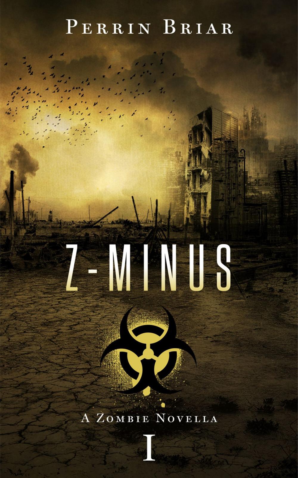 Big bigCover of Z-Minus 1