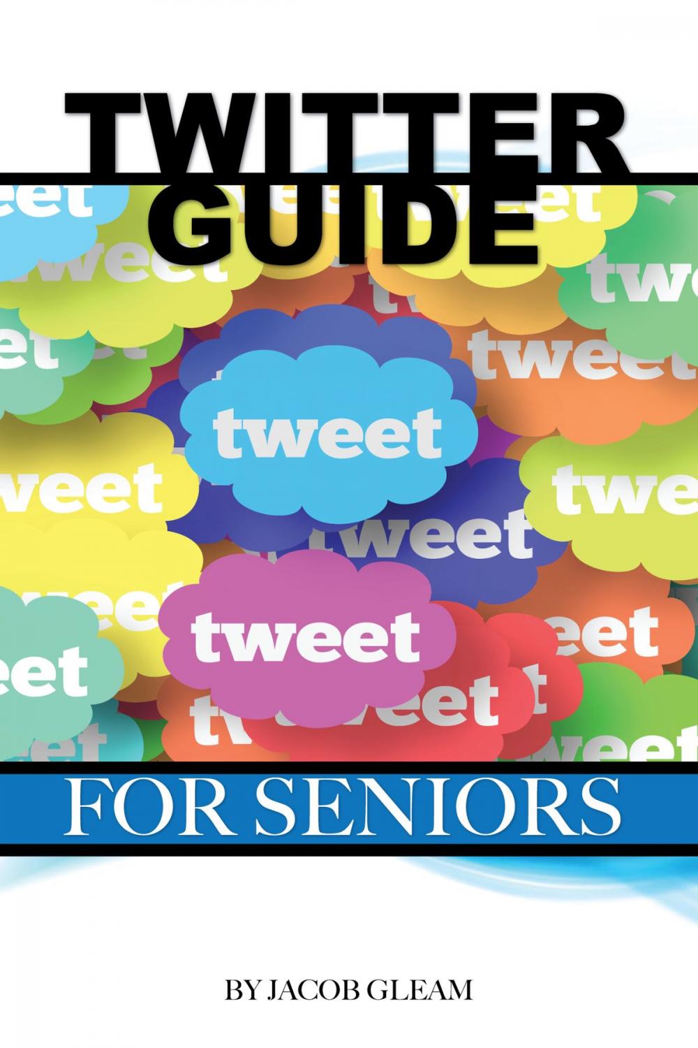 Big bigCover of Twitter Guide: For Seniors