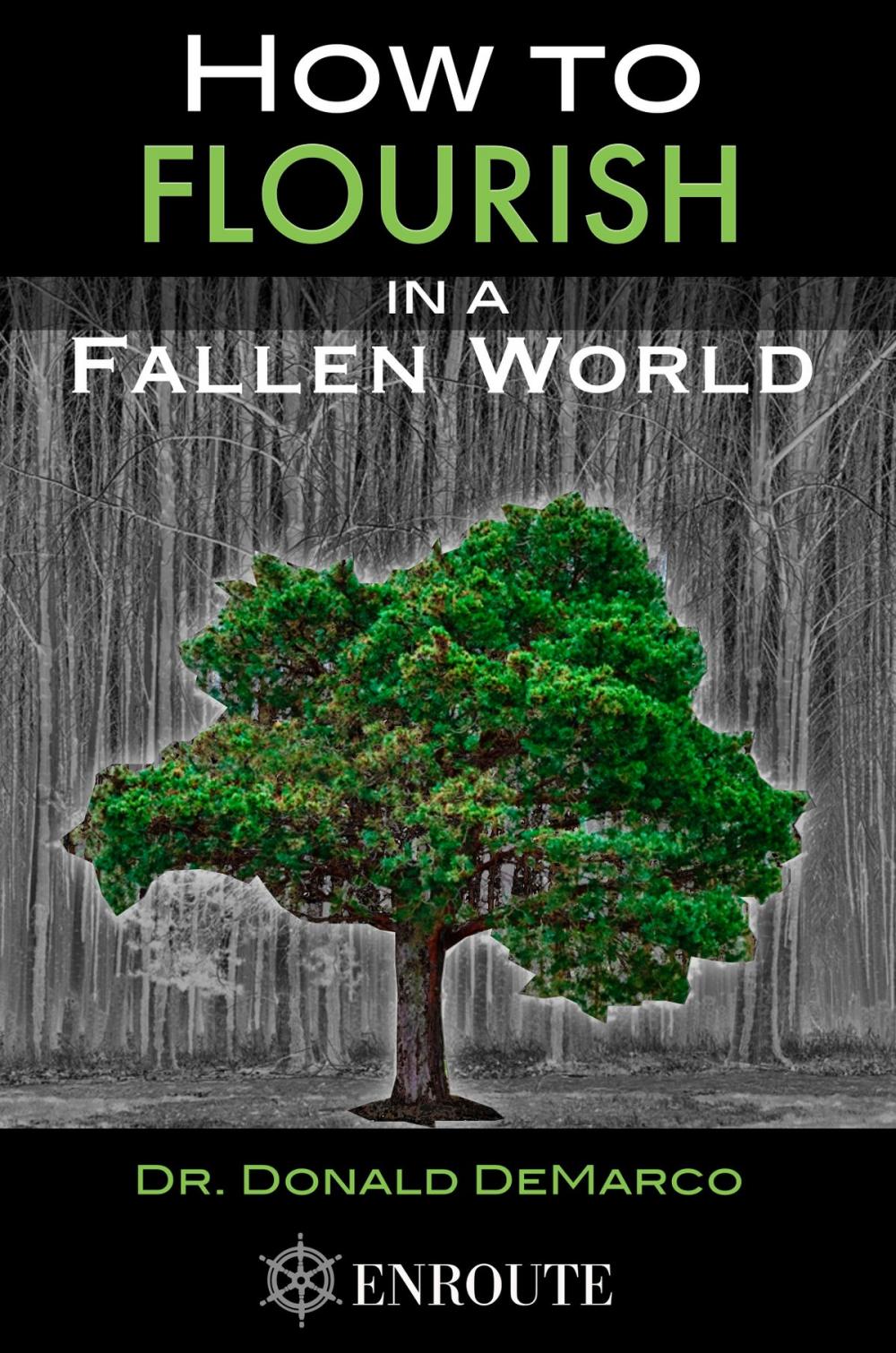 Big bigCover of How to Flourish in a Fallen World