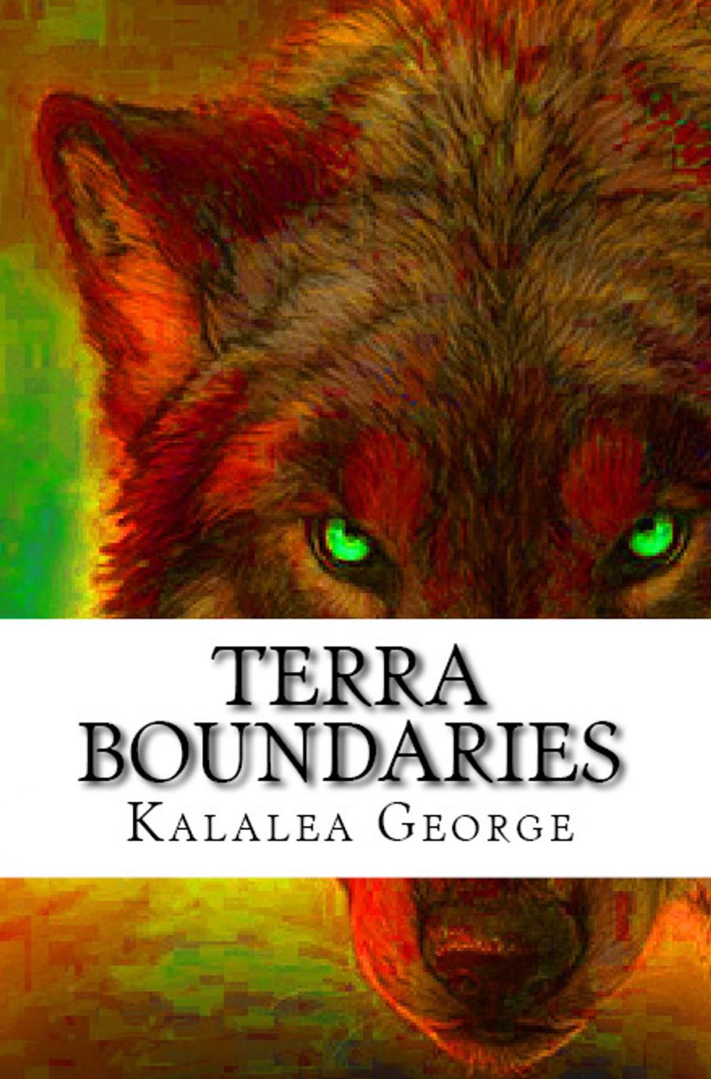 Big bigCover of Terra Boundaries