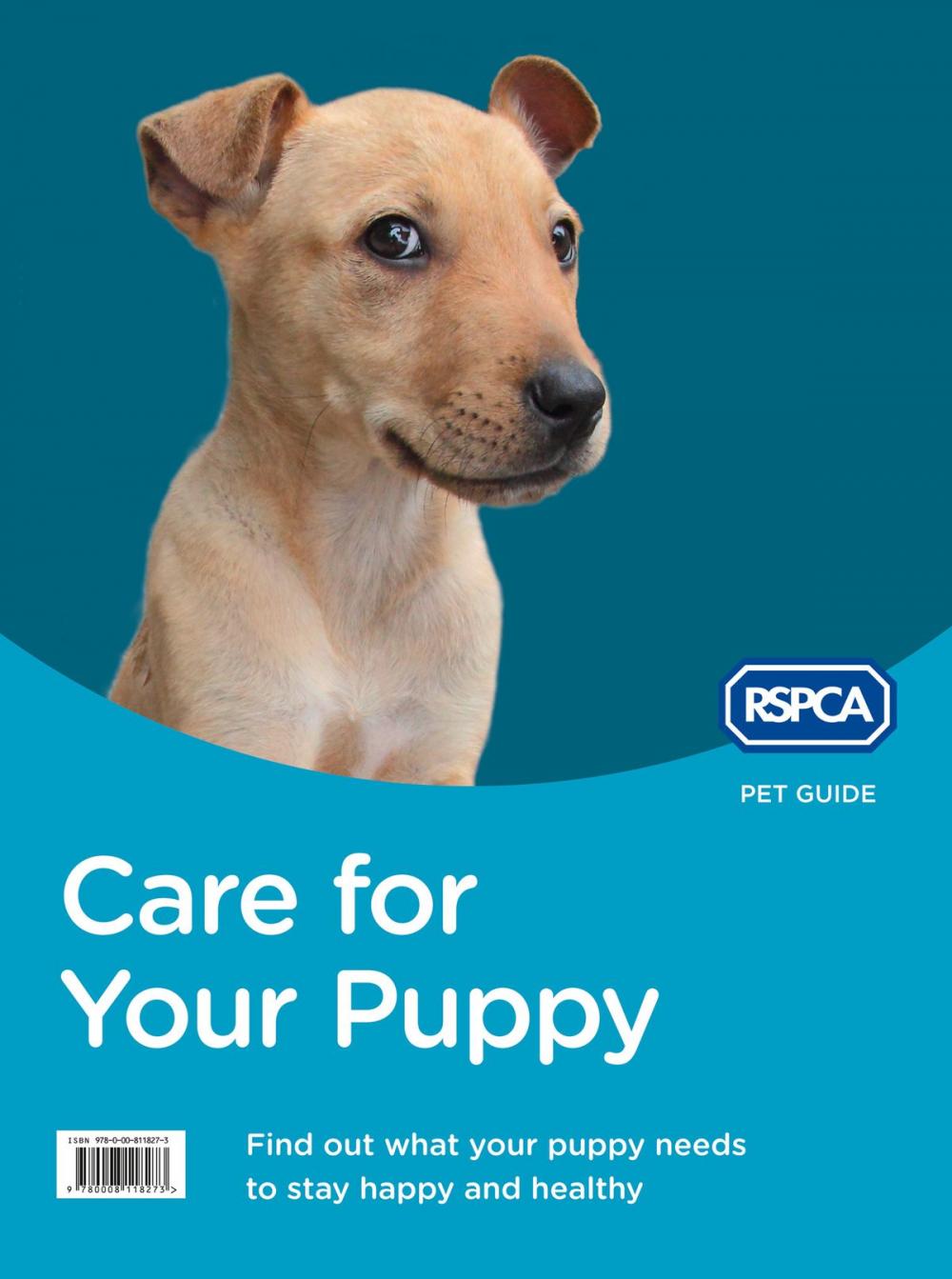 Big bigCover of Care for Your Puppy (RSPCA Pet Guide)