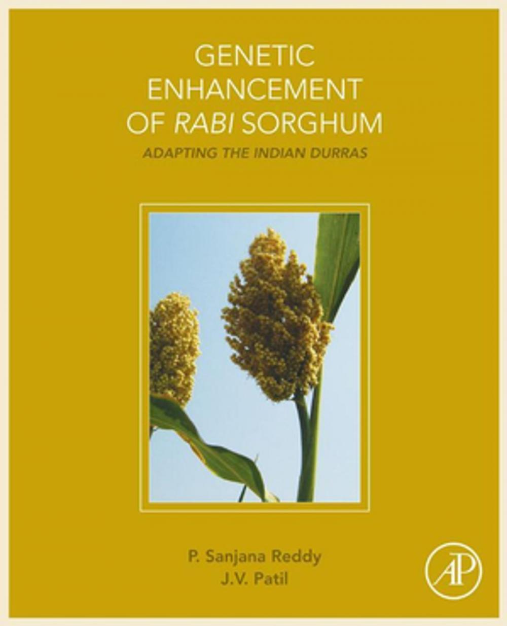 Big bigCover of Genetic Enhancement of Rabi Sorghum