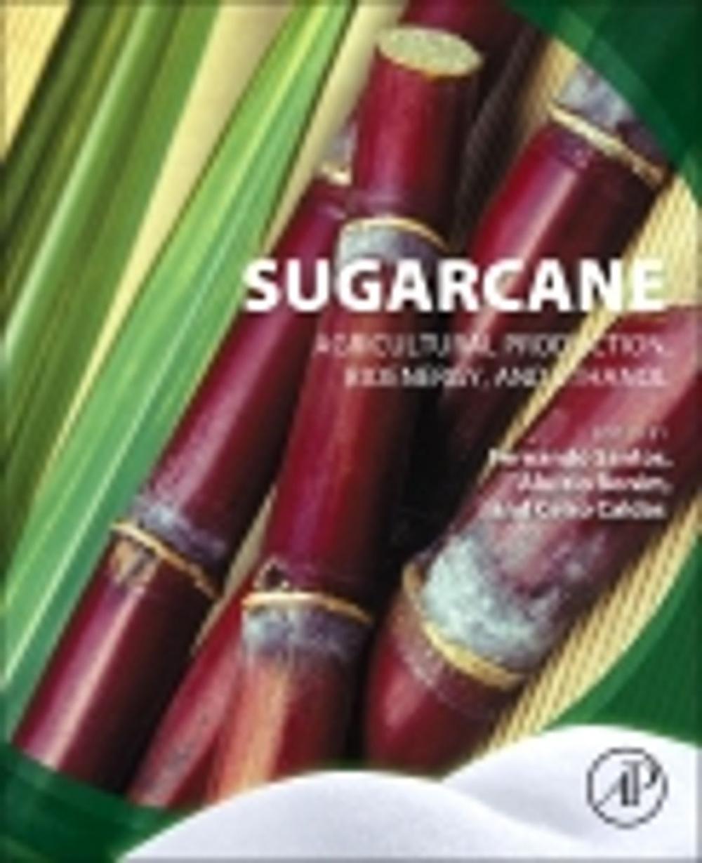 Big bigCover of Sugarcane