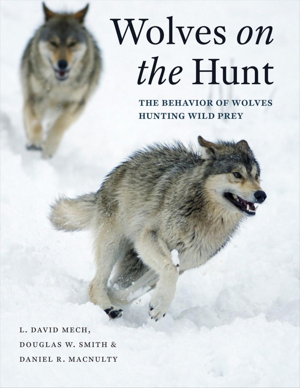 Big bigCover of Wolves on the Hunt