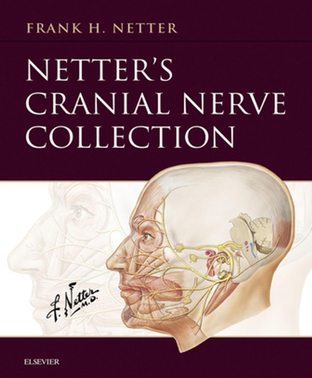 Big bigCover of Netter’s Cranial Nerve Collection E-Book