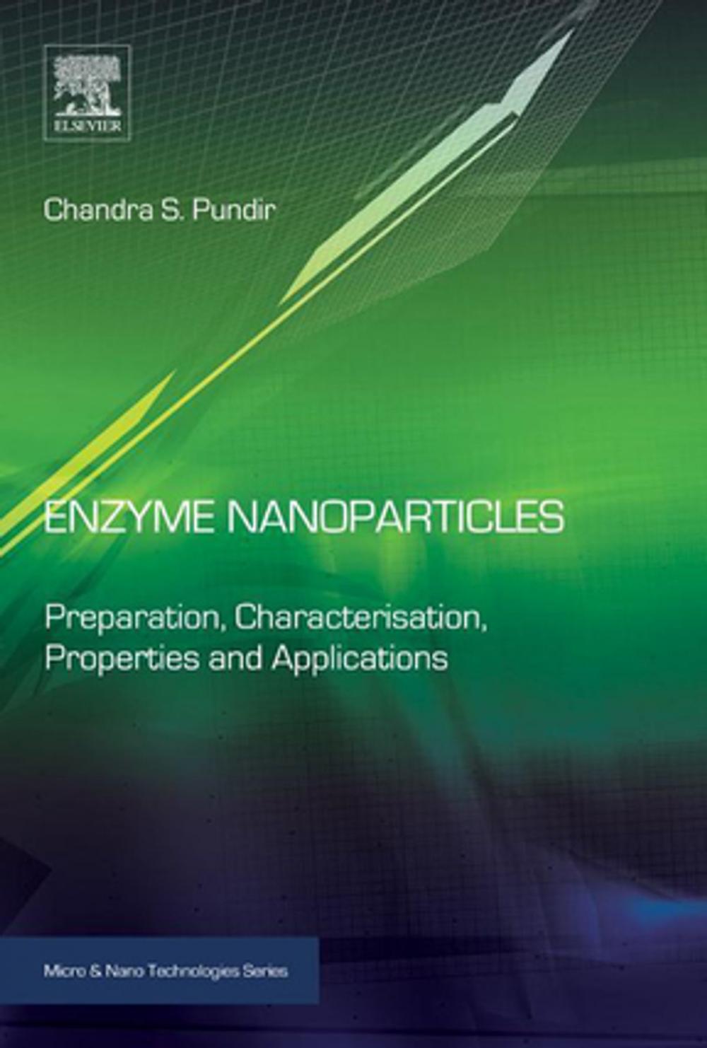 Big bigCover of Enzyme Nanoparticles