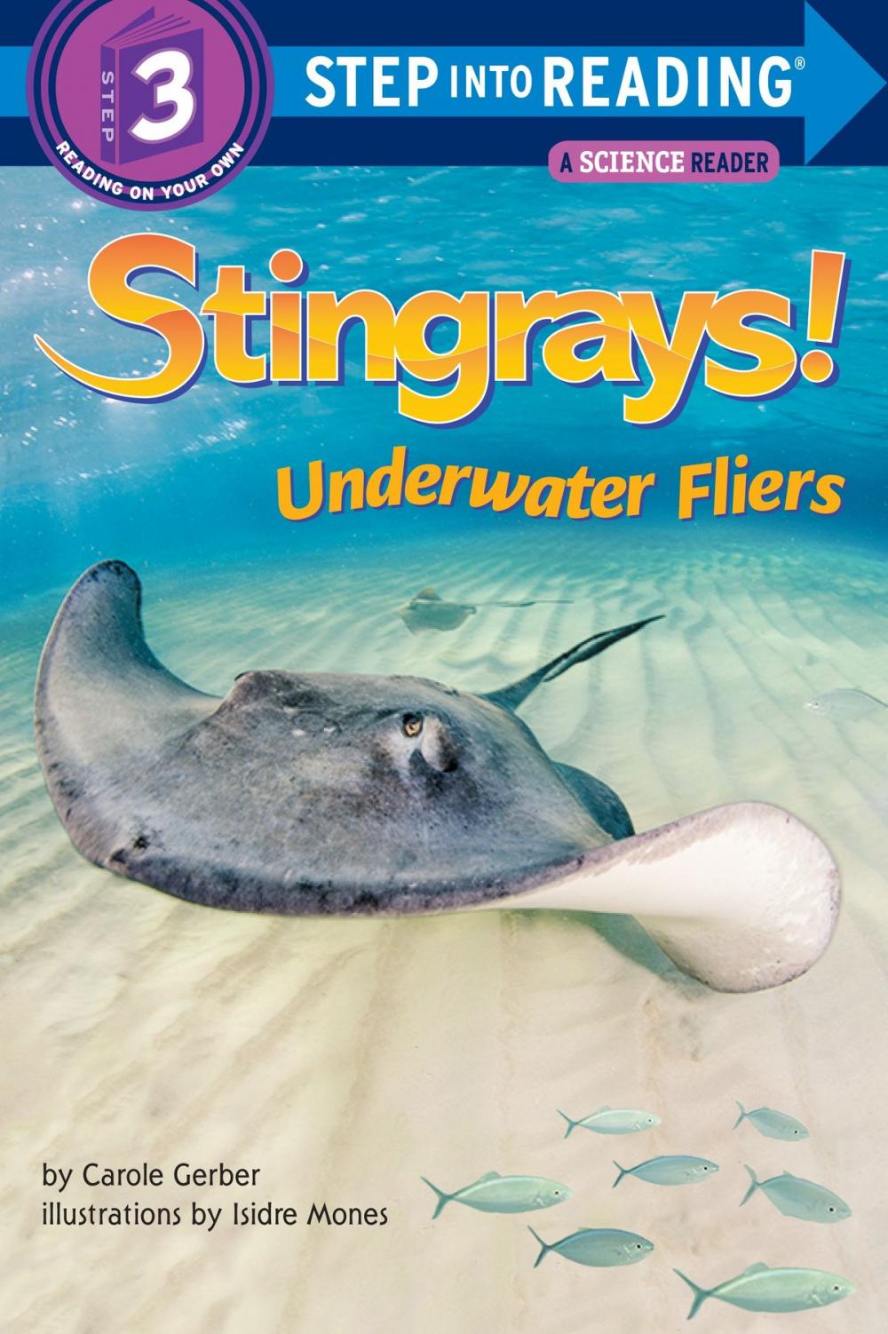 Big bigCover of Stingrays! Underwater Fliers