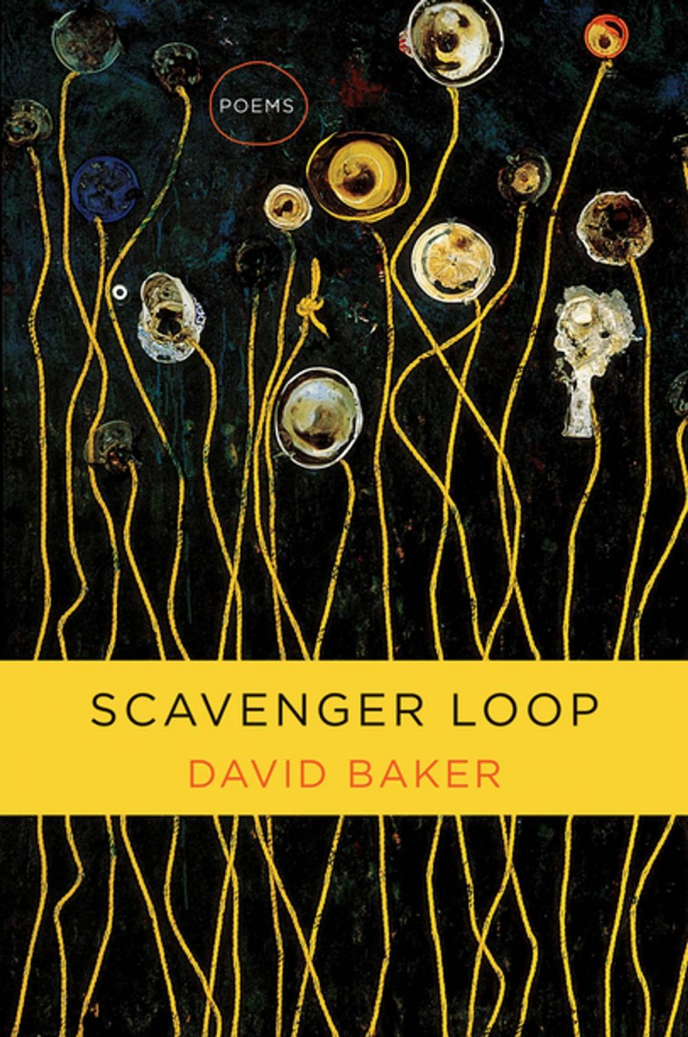 Big bigCover of Scavenger Loop: Poems