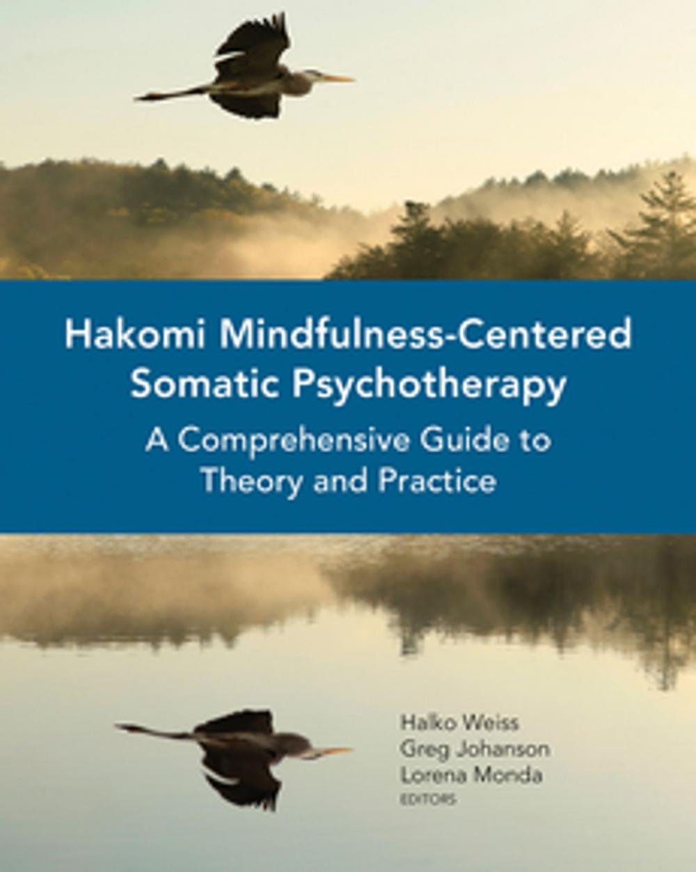Big bigCover of Hakomi Mindfulness-Centered Somatic Psychotherapy: A Comprehensive Guide to Theory and Practice