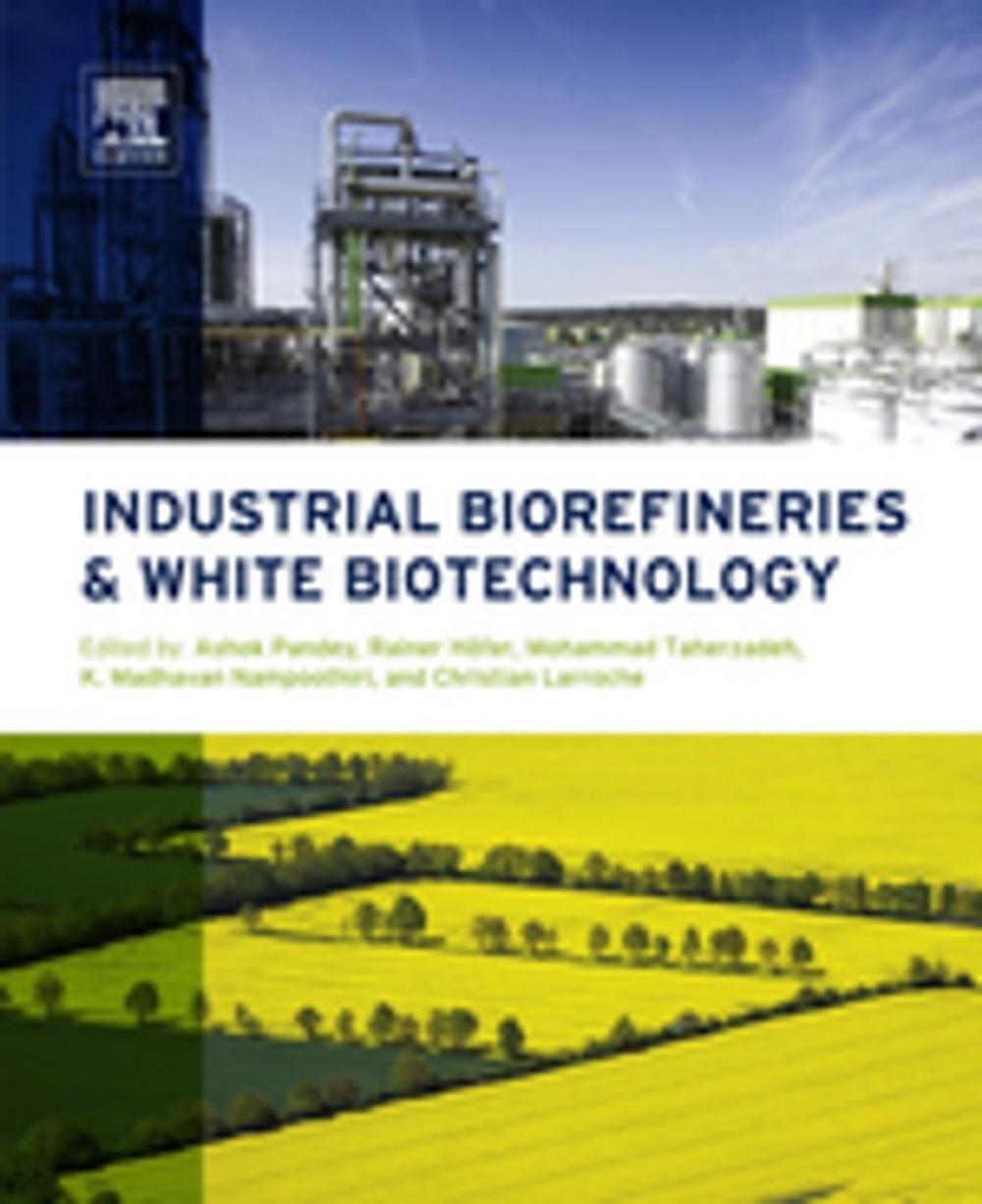 Big bigCover of Industrial Biorefineries and White Biotechnology