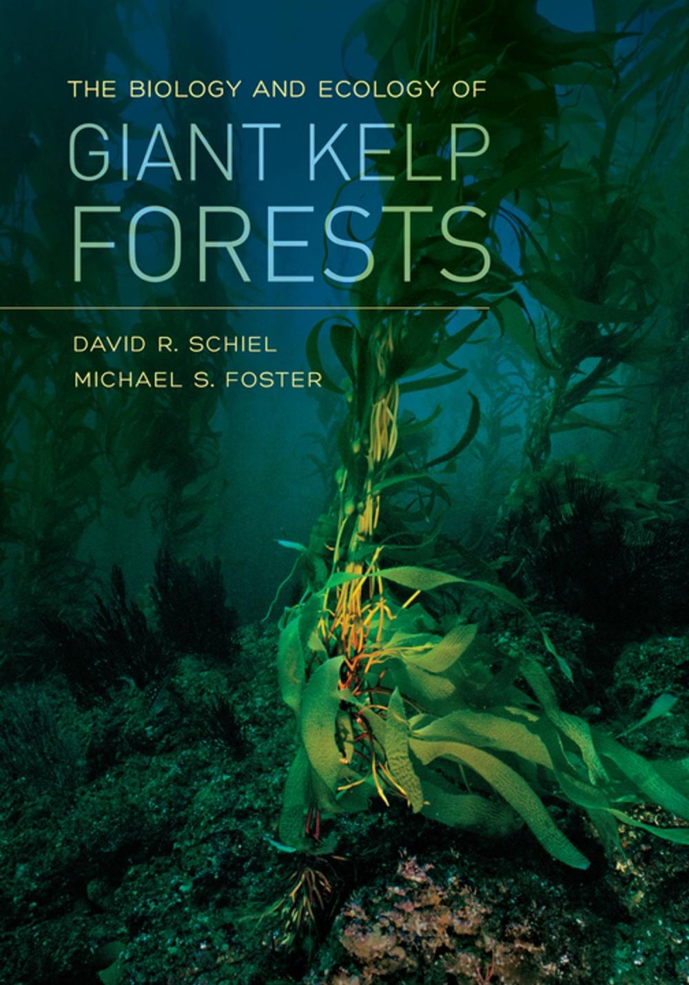 Big bigCover of The Biology and Ecology of Giant Kelp Forests