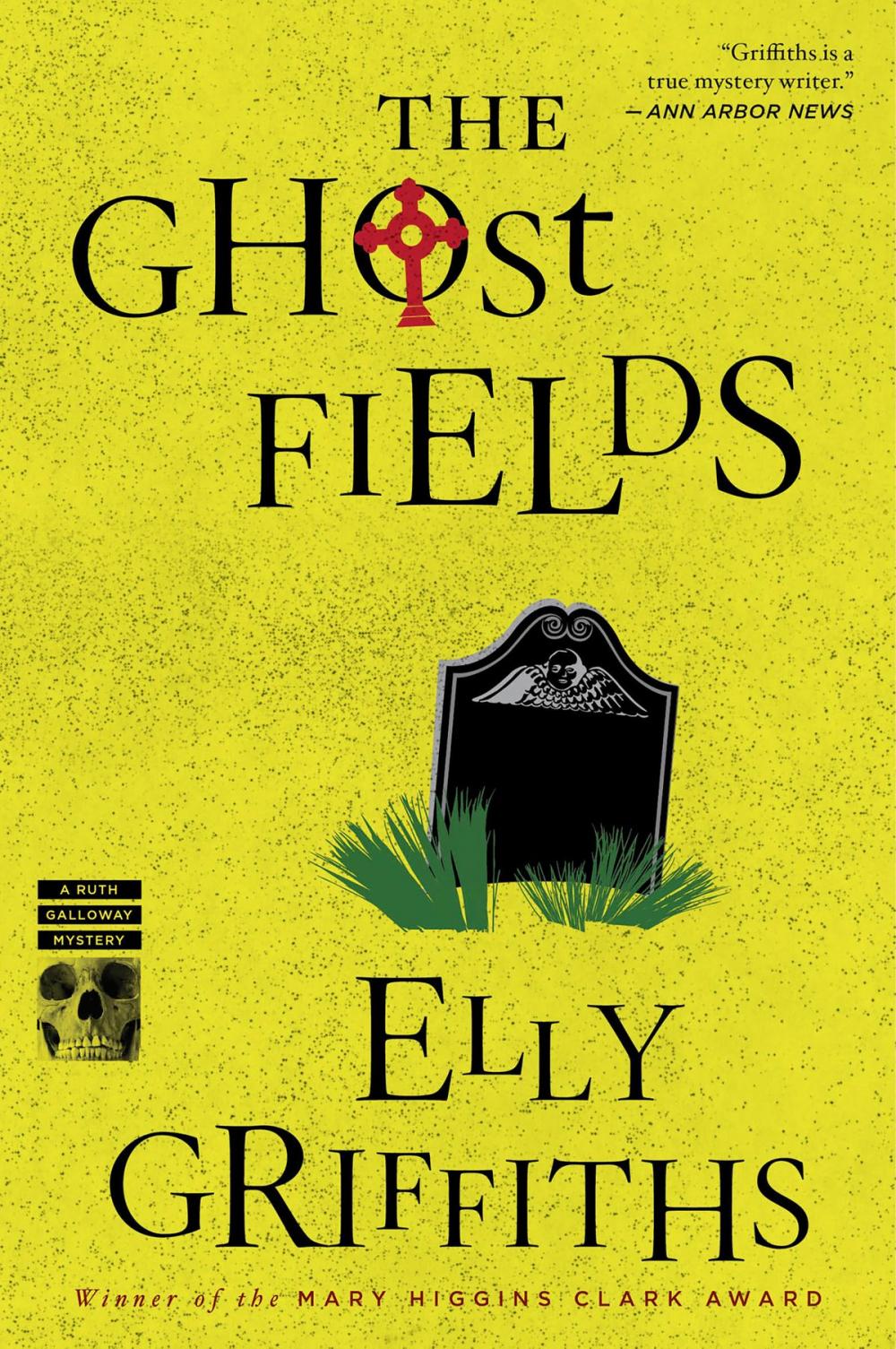 Big bigCover of The Ghost Fields