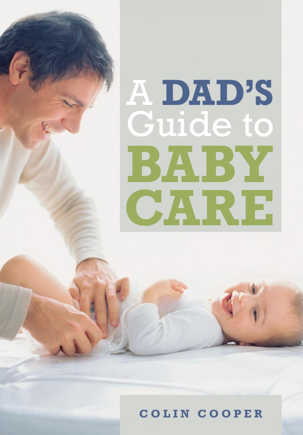 Big bigCover of A Dad's Guide to Babycare