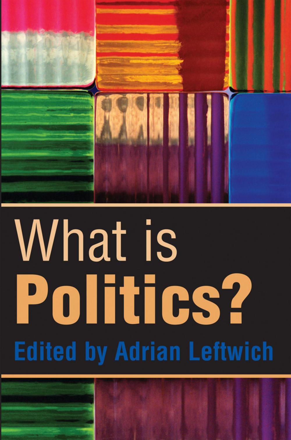 Big bigCover of What is Politics?
