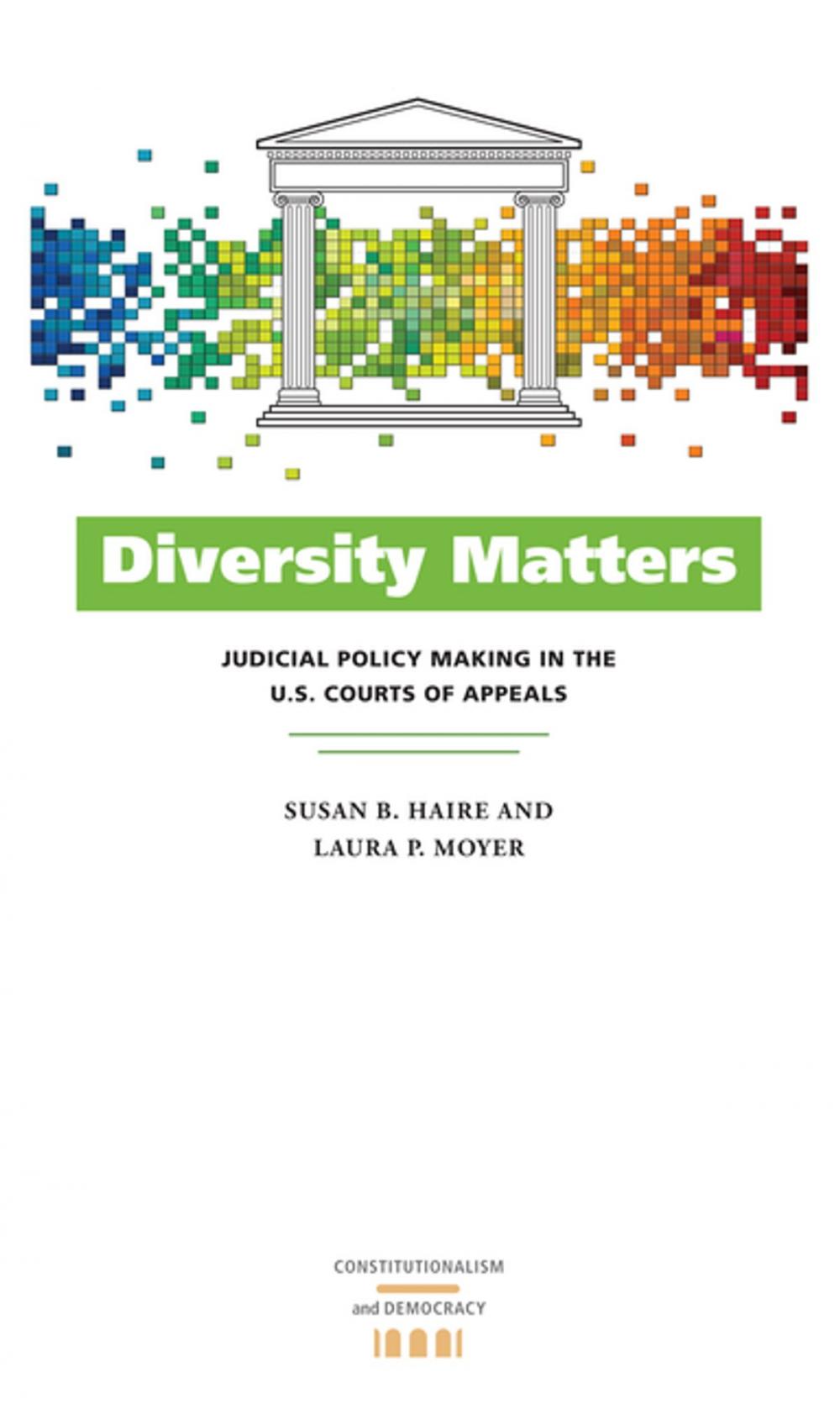 Big bigCover of Diversity Matters