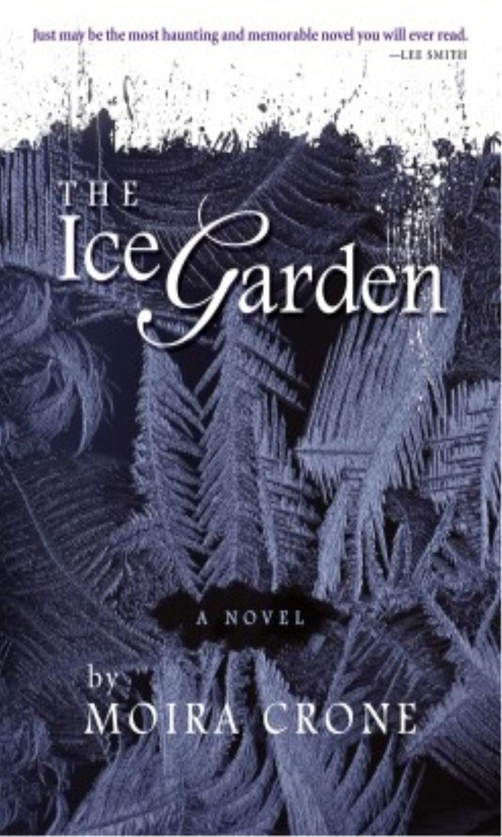 Big bigCover of The Ice Garden