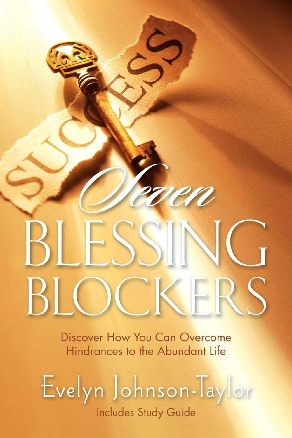 Big bigCover of Seven Blessing Blockers