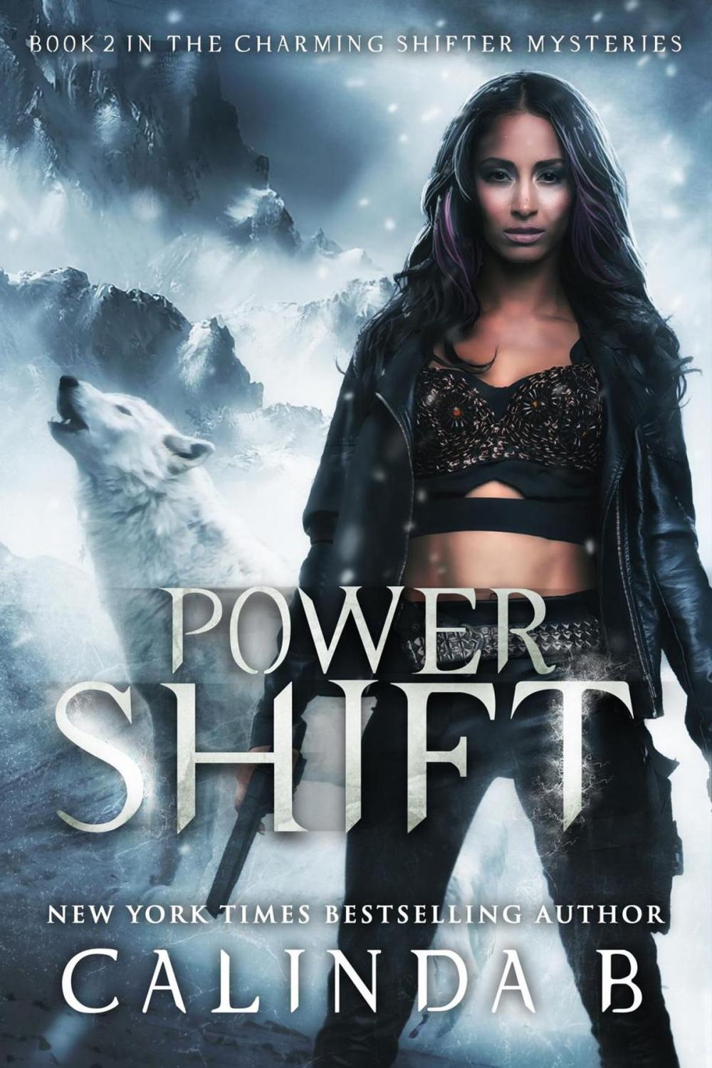 Big bigCover of Power Shift