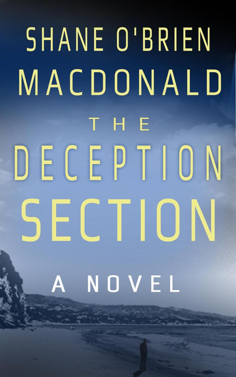 Big bigCover of The Deception Section: A Novel