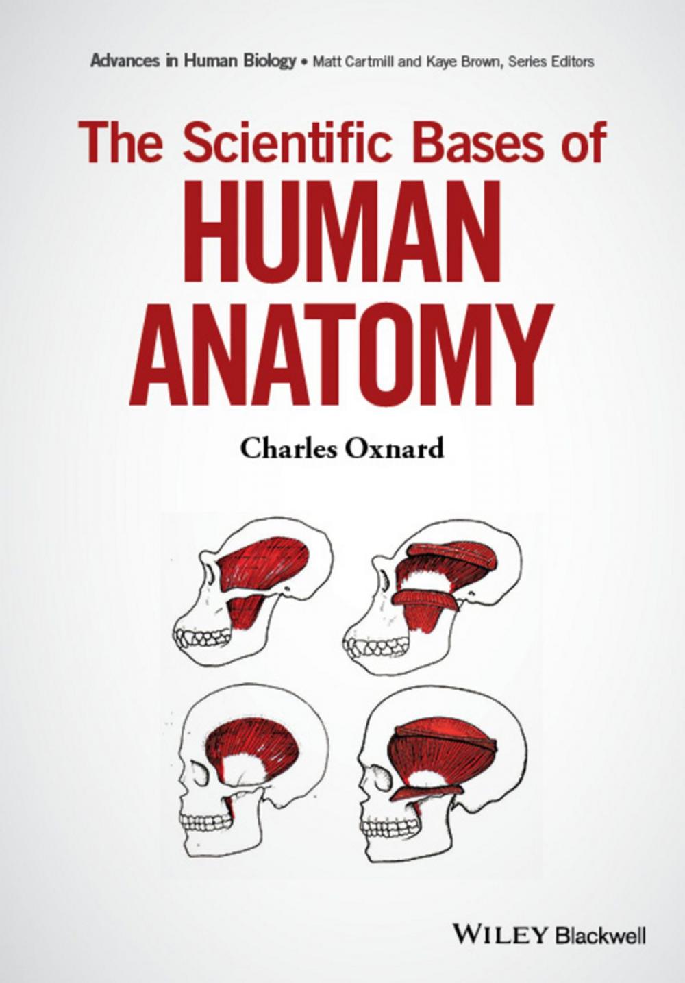 Big bigCover of The Scientific Bases of Human Anatomy