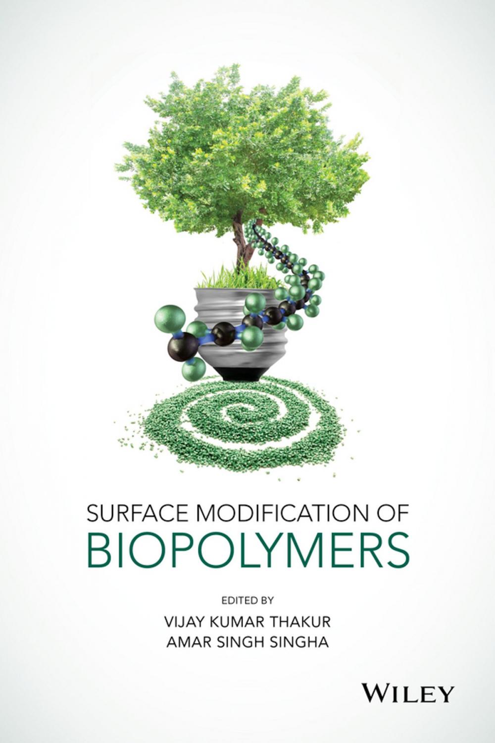 Big bigCover of Surface Modification of Biopolymers