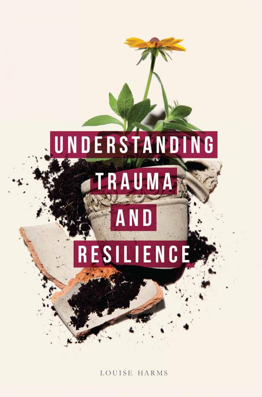 Big bigCover of Understanding Trauma and Resilience