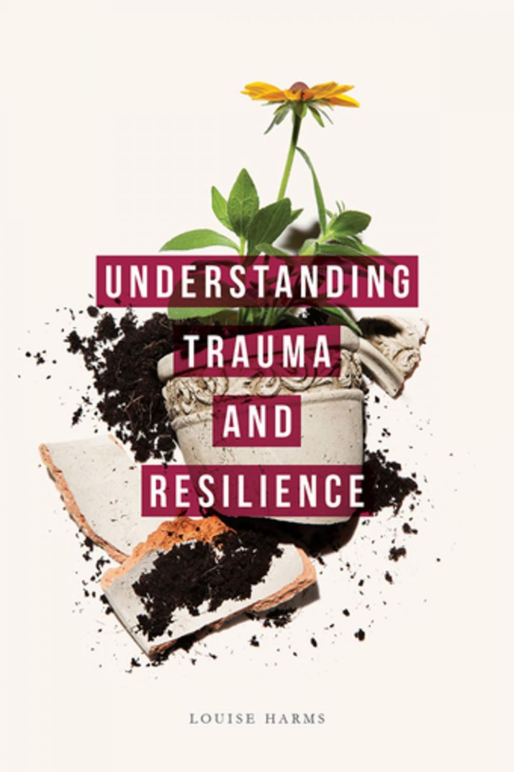 Big bigCover of Understanding Trauma and Resilience