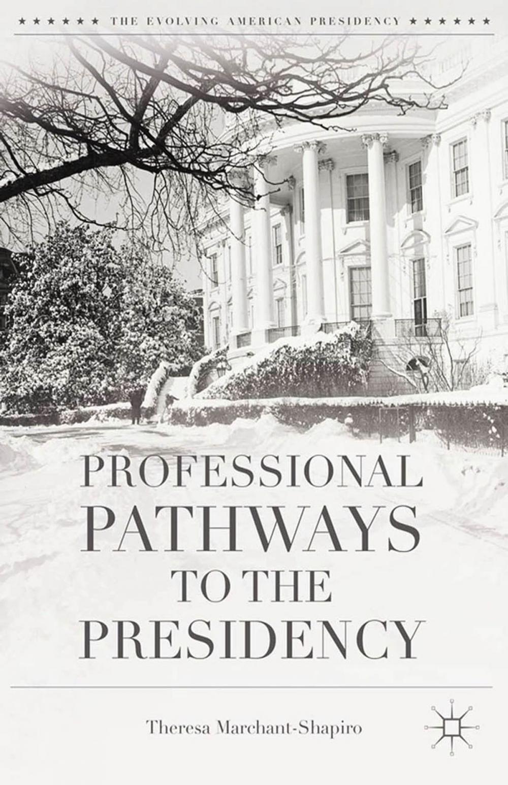 Big bigCover of Professional Pathways to the Presidency