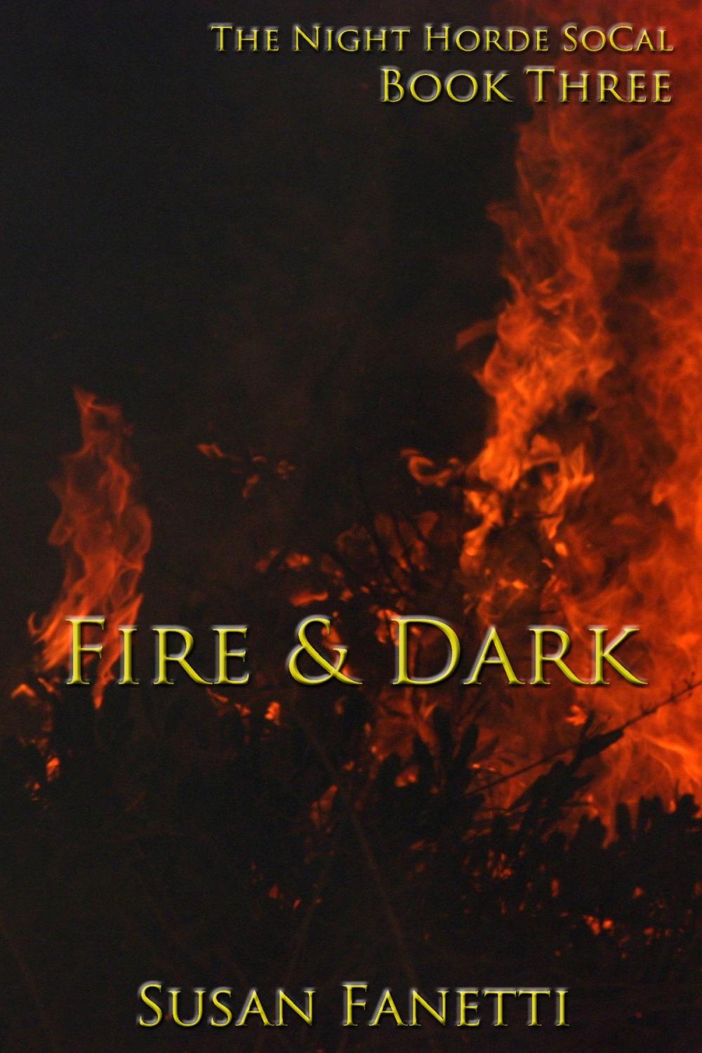 Big bigCover of Fire & Dark