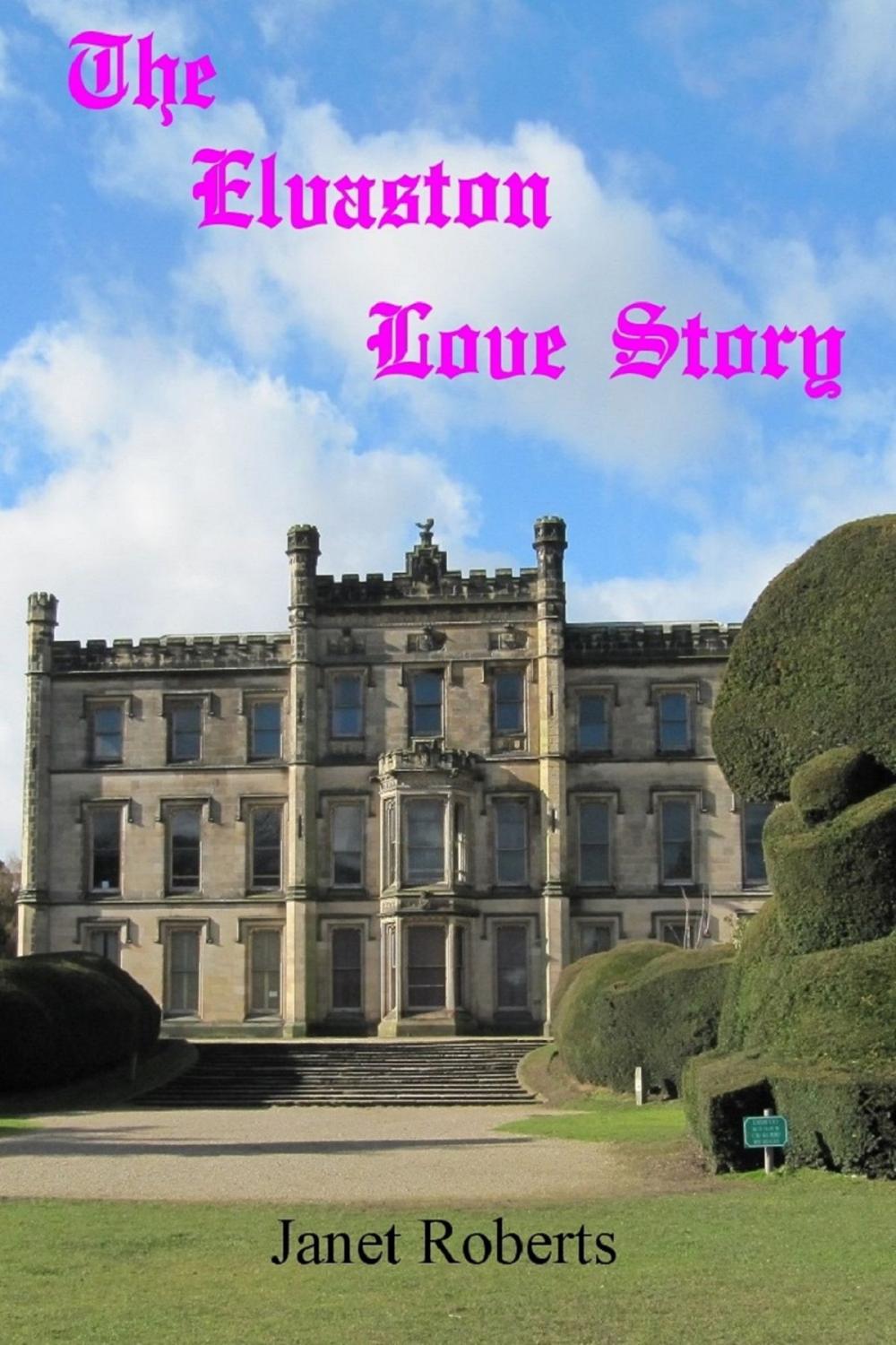 Big bigCover of The Elvaston Love Story