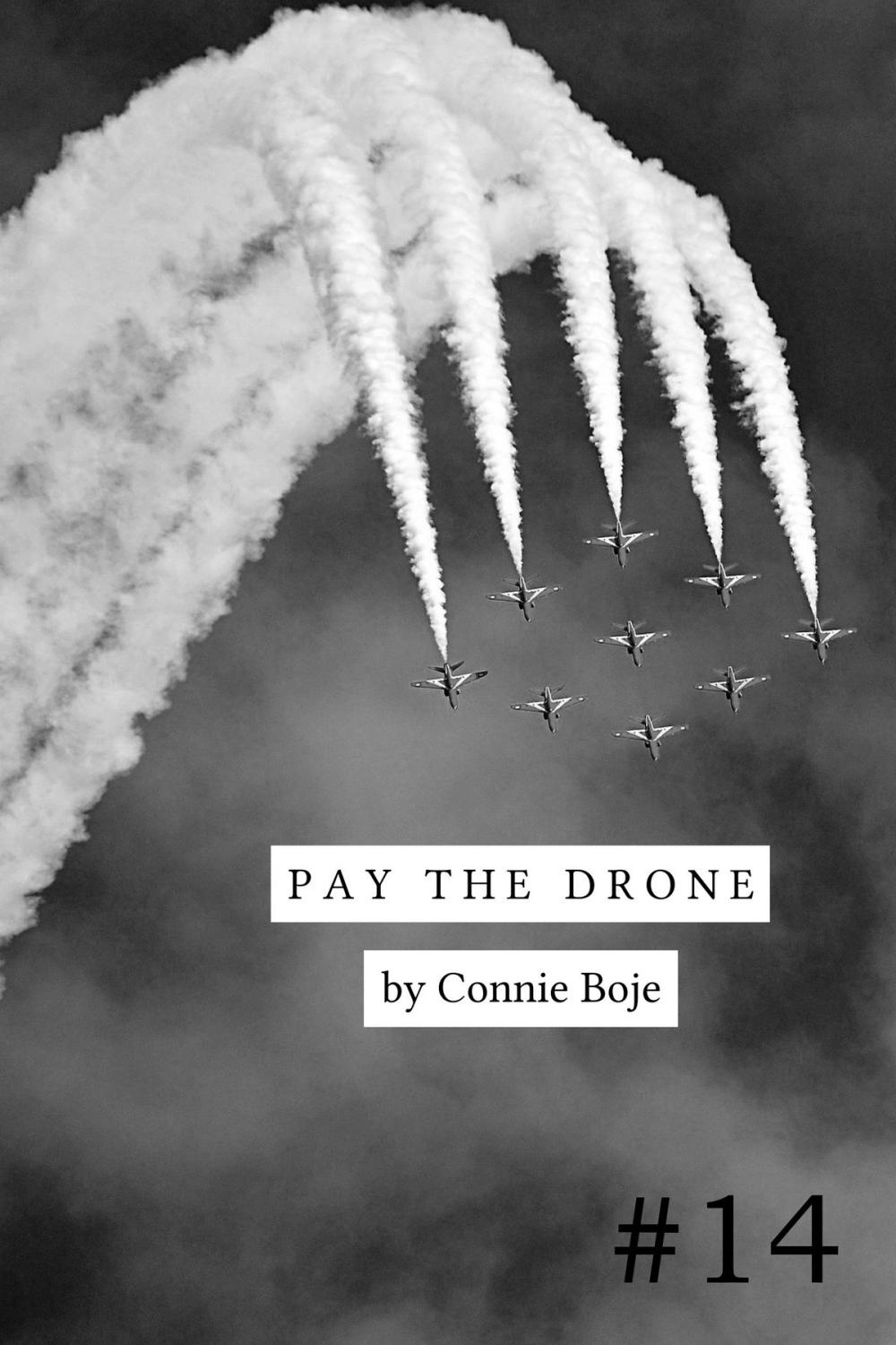 Big bigCover of Pay the Drone