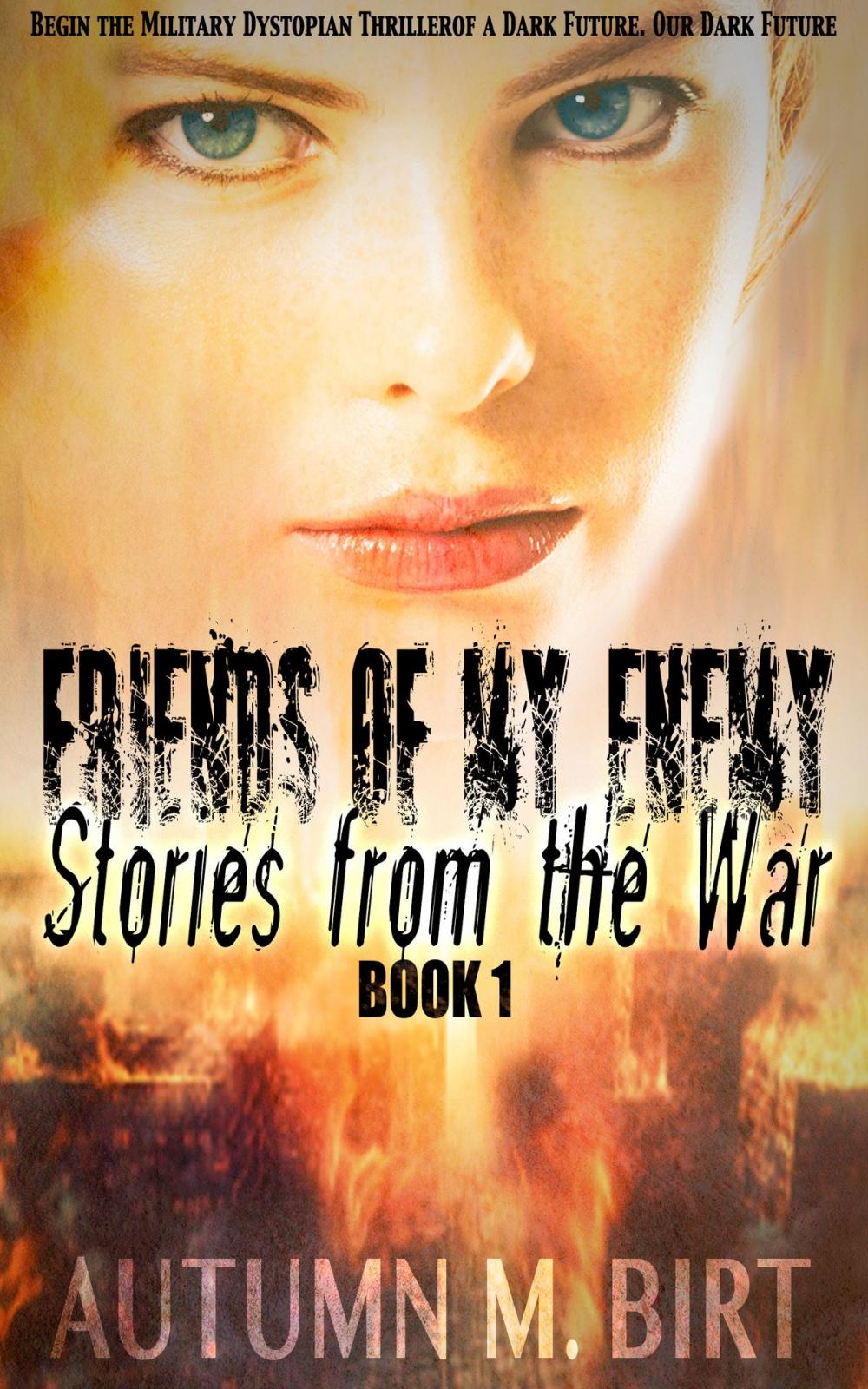 Big bigCover of Stories from the War: Military Dystopian Thriller