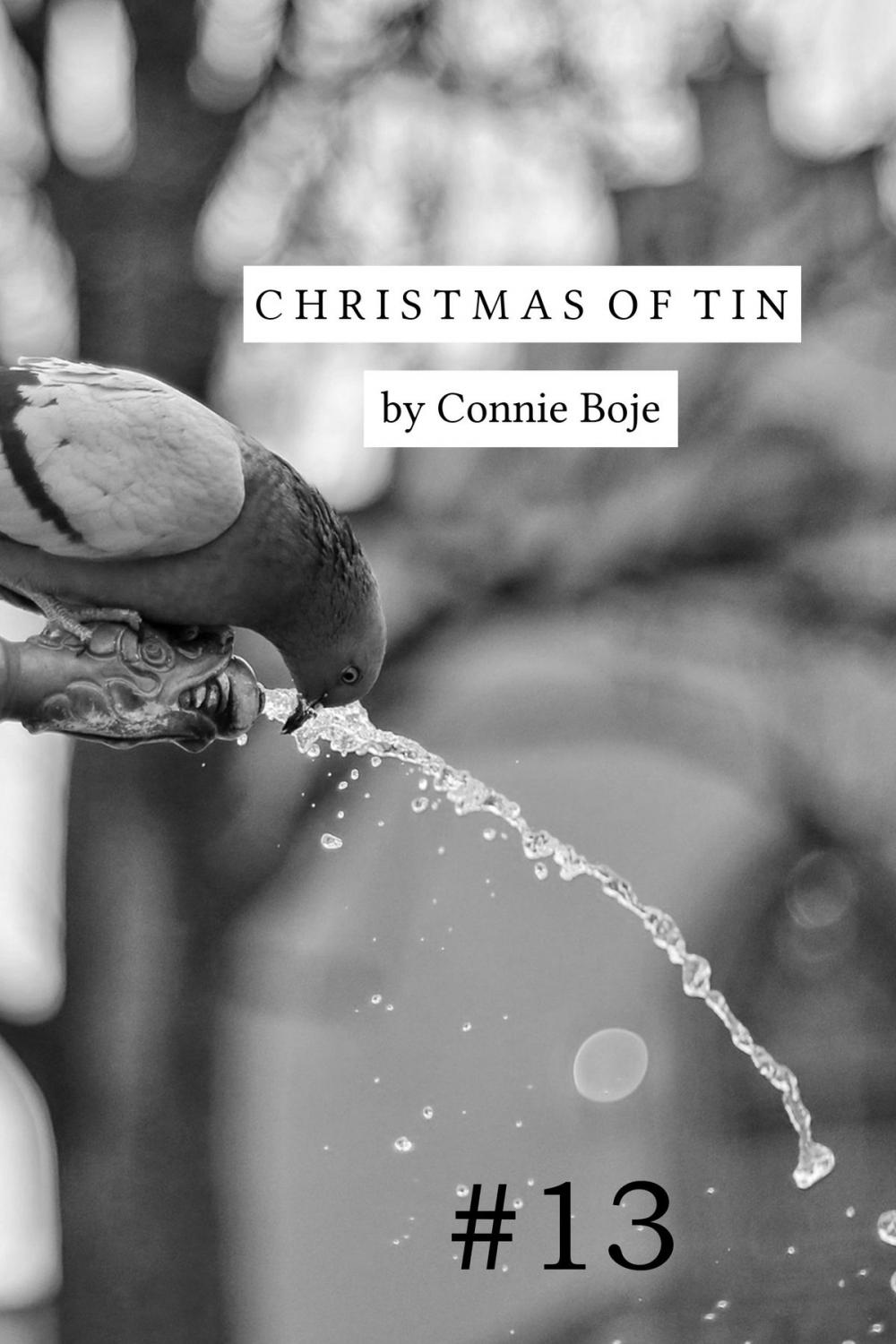 Big bigCover of Christmas of Tin