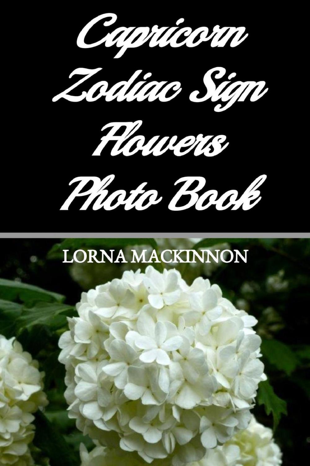 Big bigCover of Capricorn Zodiac Sign Flowers Photo Book