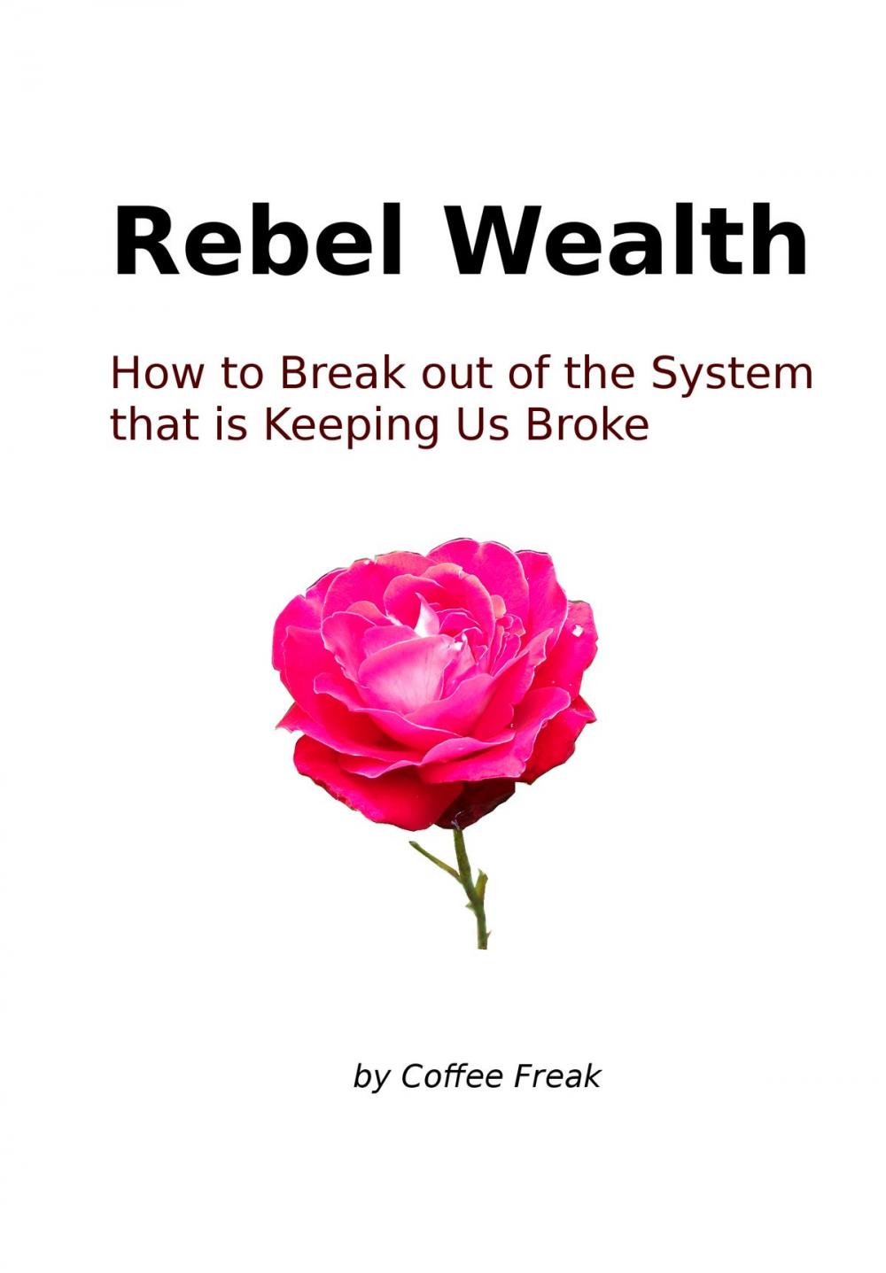 Big bigCover of Rebel Wealth: How To Break Out Of The System That Is Keeping Us Broke