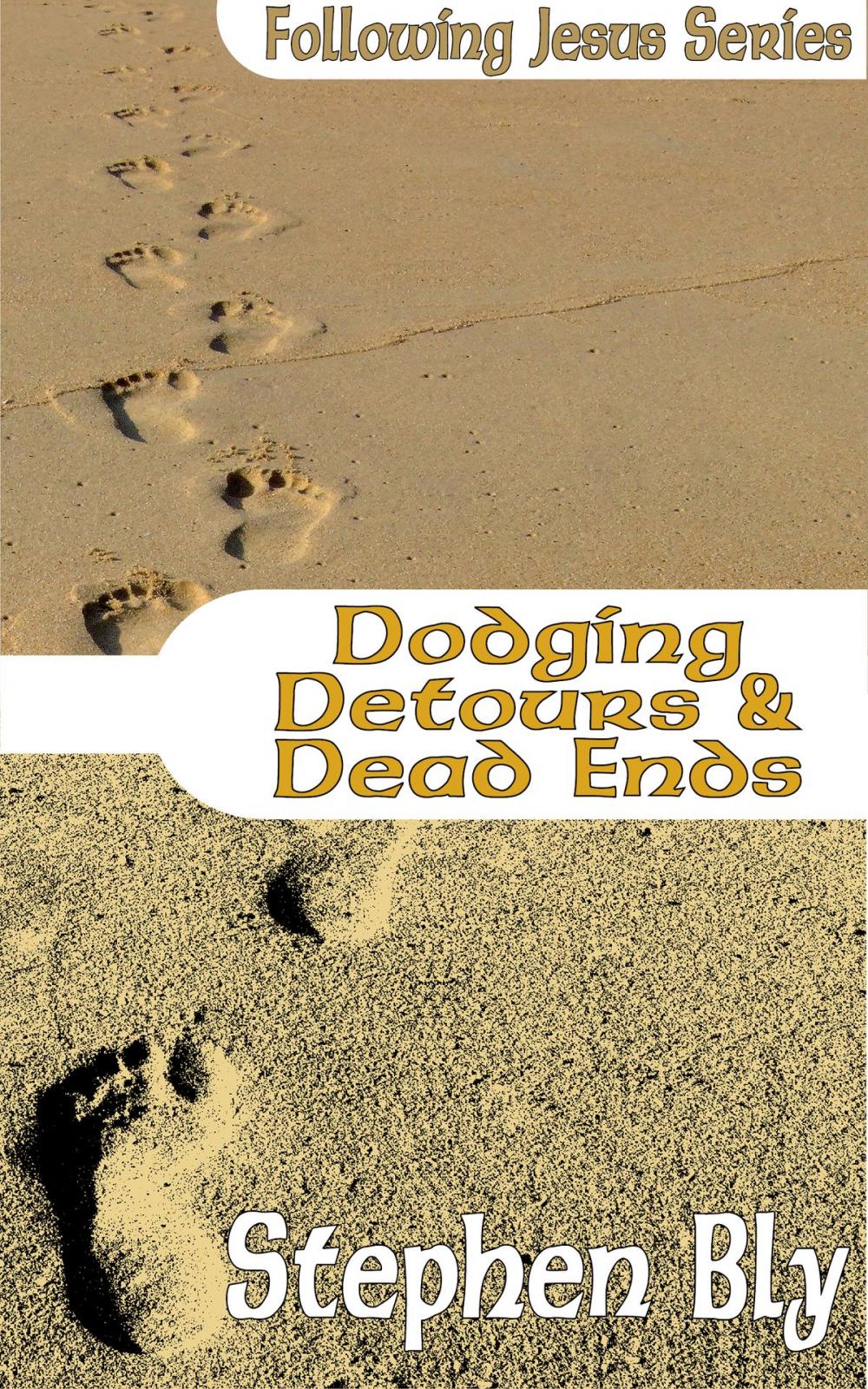 Big bigCover of Dodging Detours & Dead Ends