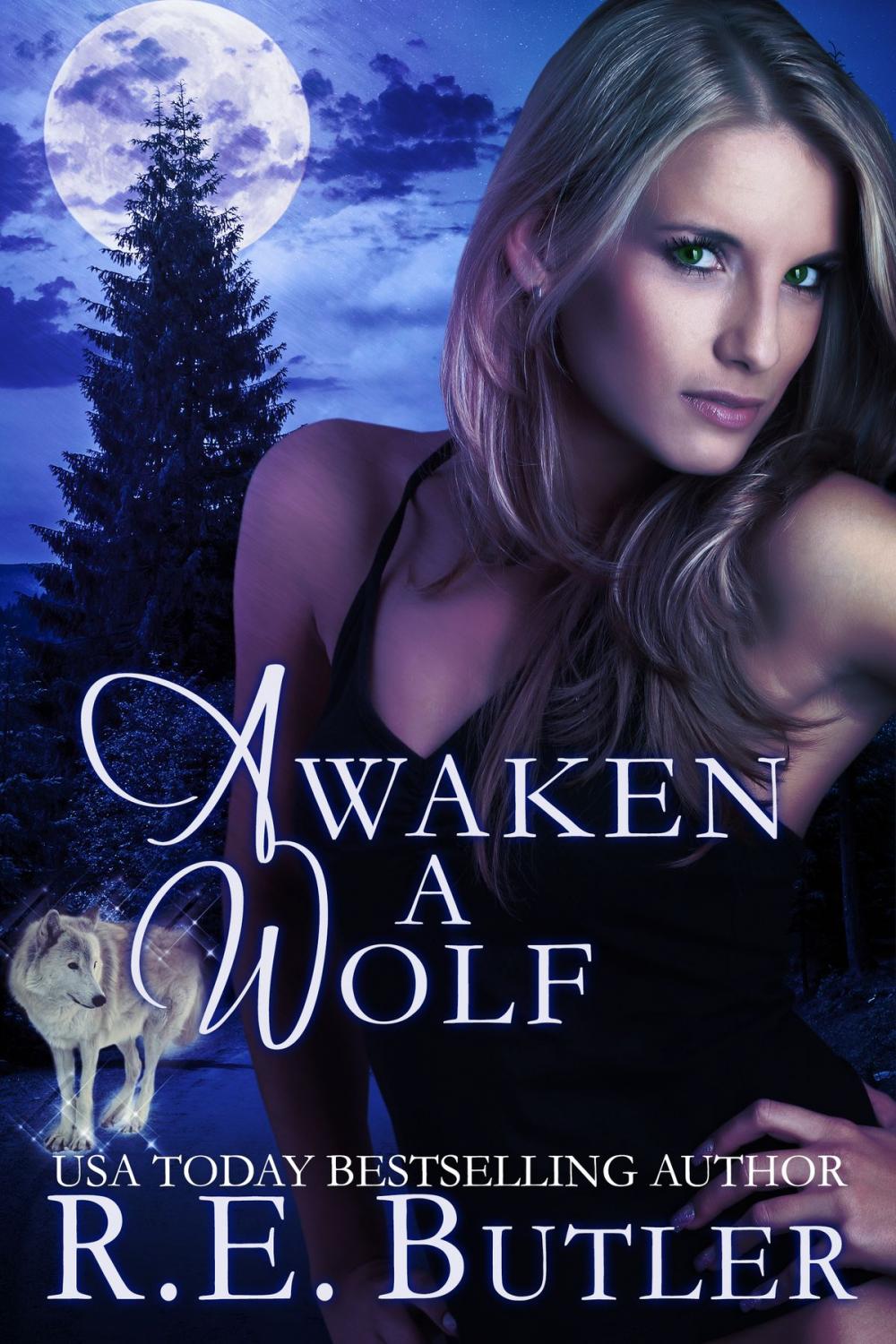 Big bigCover of Awaken a Wolf (Wiccan-Were-Bear #9)