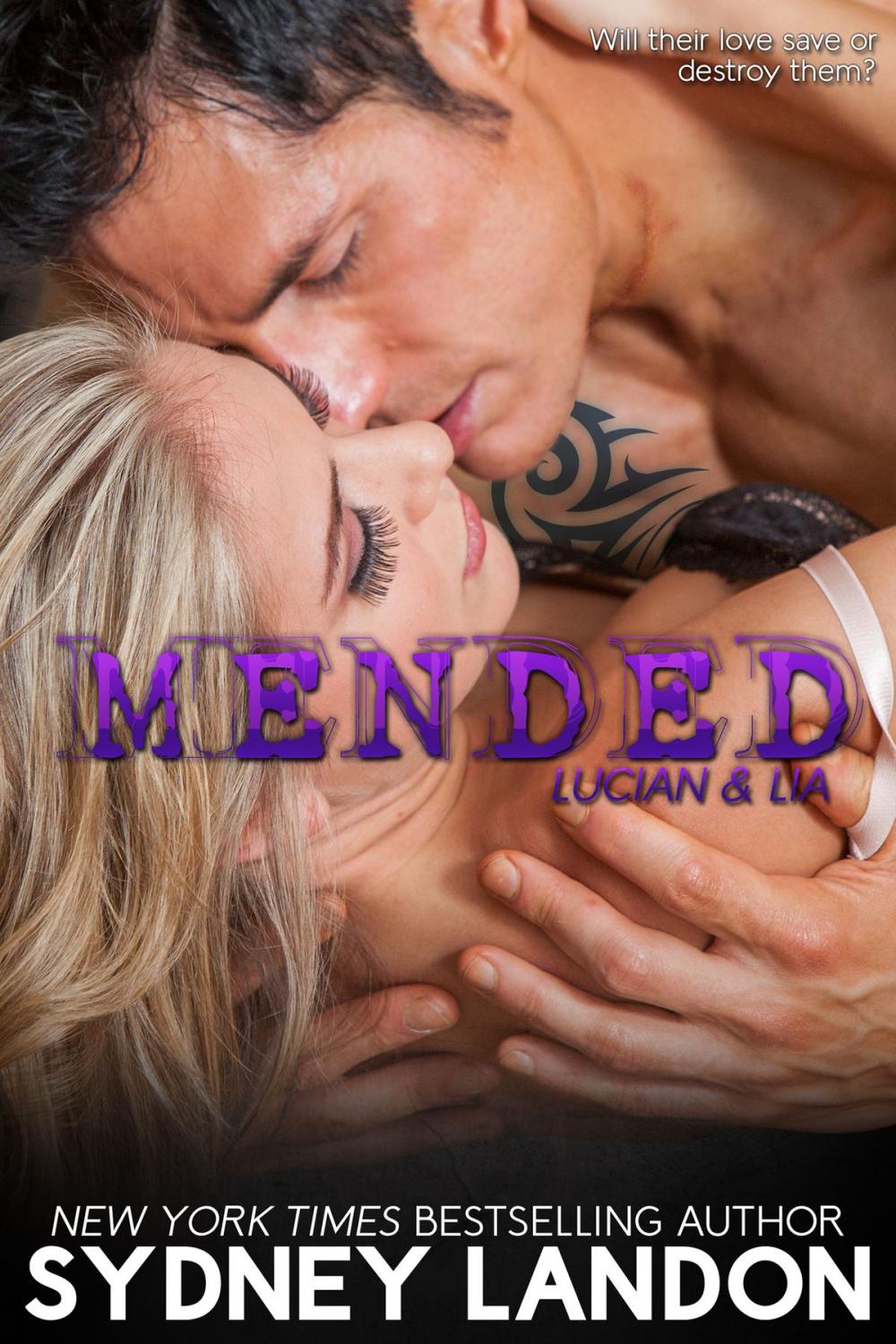 Big bigCover of Mended