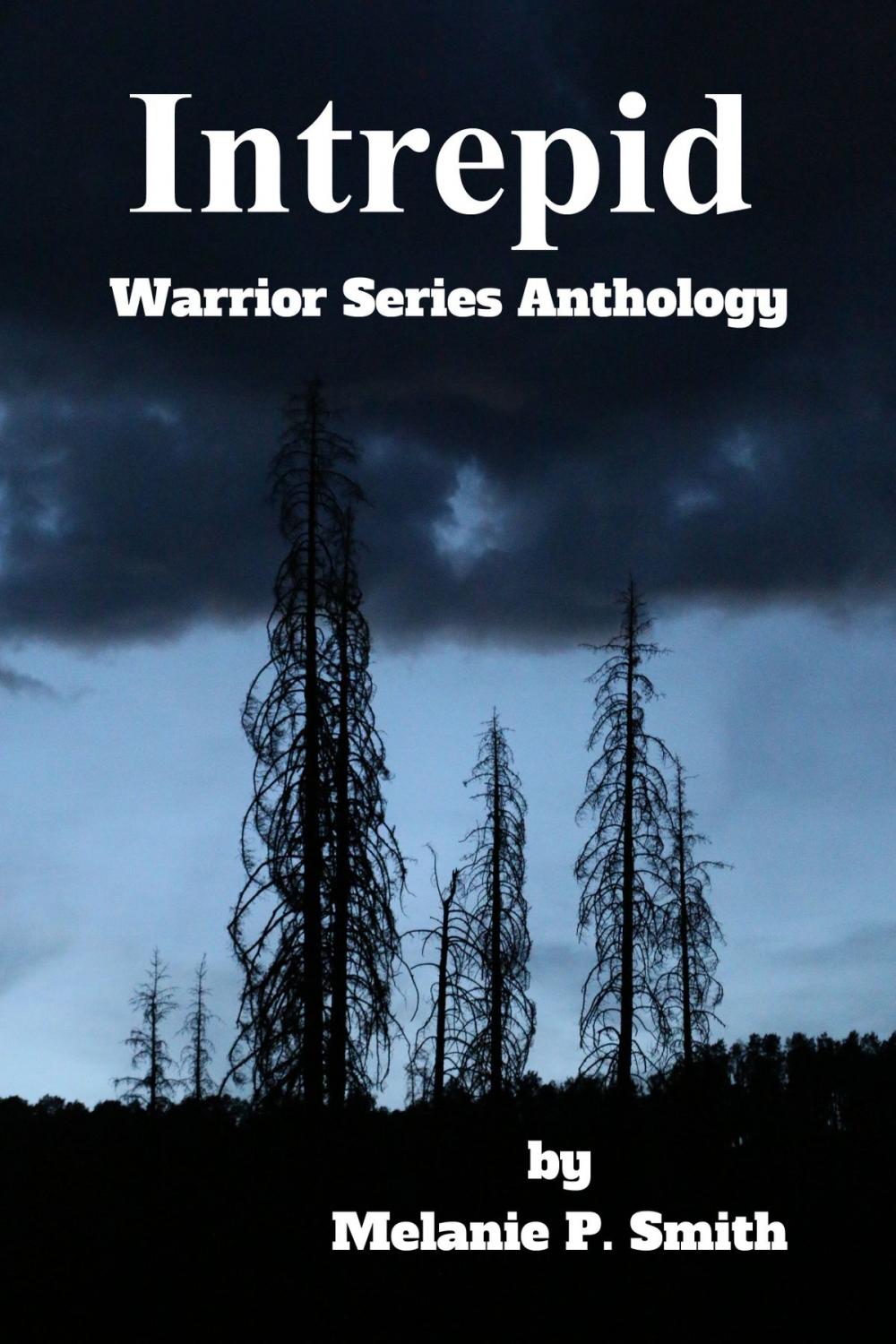 Big bigCover of Intrepid: Warrior Series Anthology Book 4.5