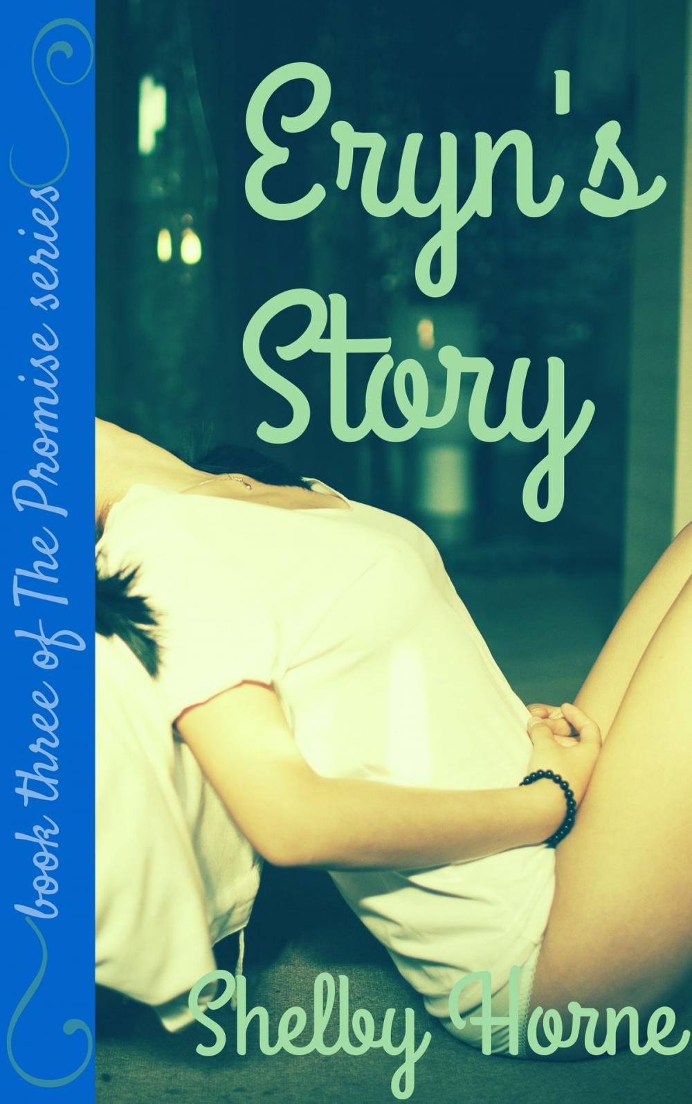 Big bigCover of Eryn's Story