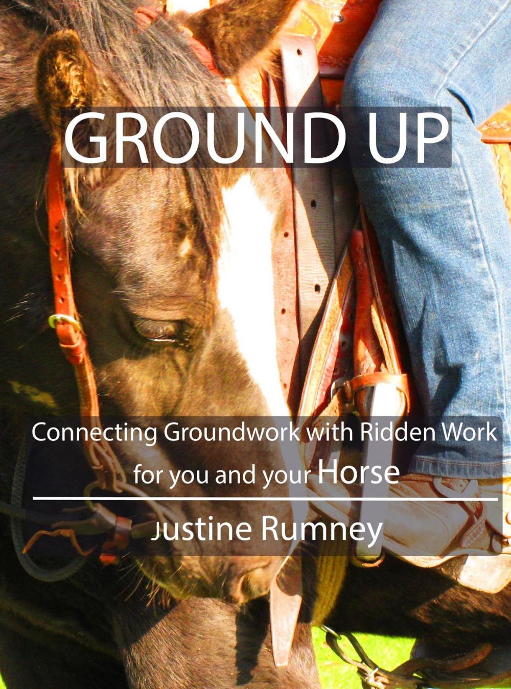 Big bigCover of Ground Up; Connecting Groundwork with Ridden Work for you and your Horse